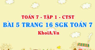 Bài 5 trang 16 SGK Toán 7 tập 1 Chân trời sáng tạo